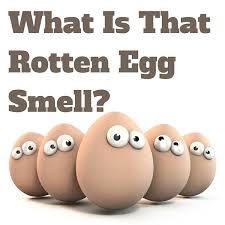 Rotten Egg