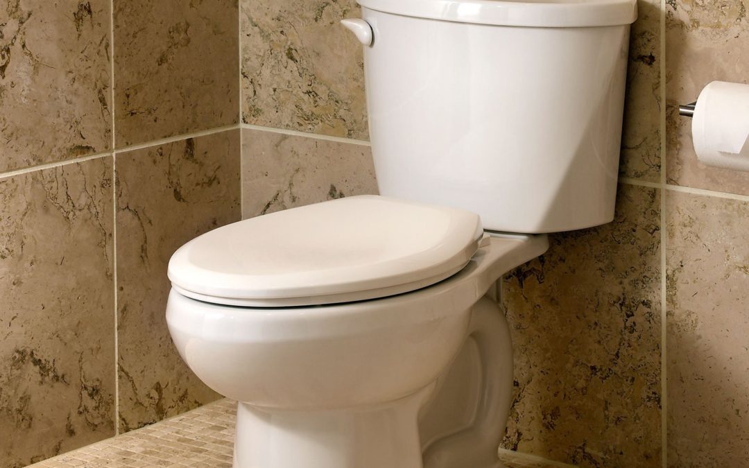 What is the Best Toilet Height ?