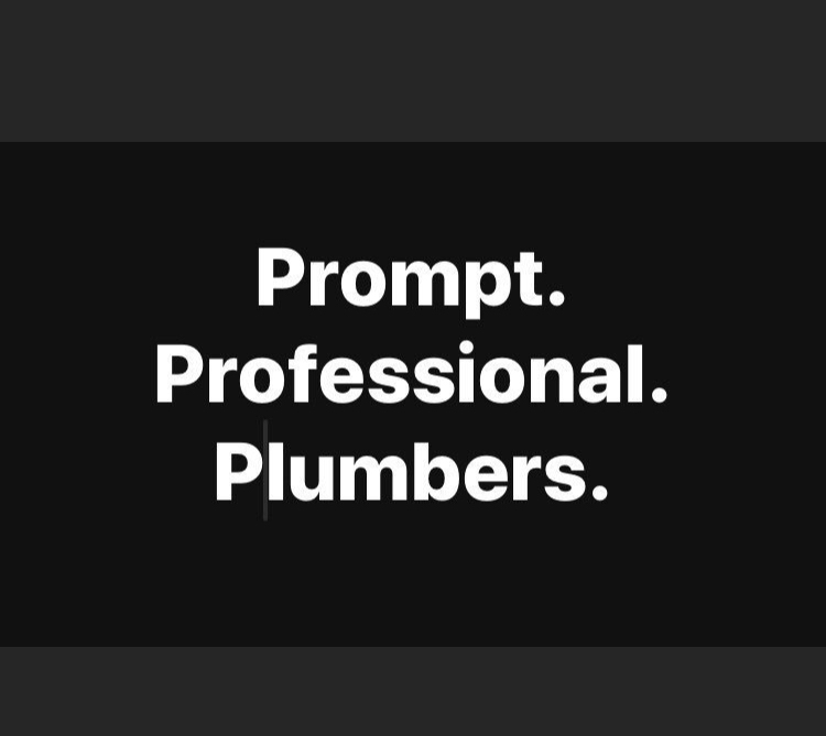 Professional Plumbing Services 